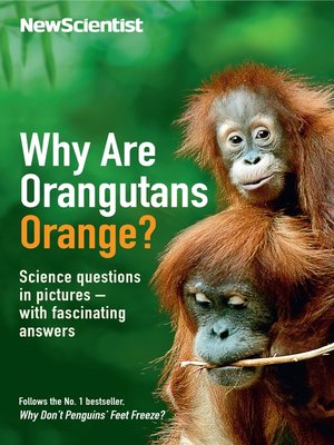 cover image of Why are Orangutans Orange?
